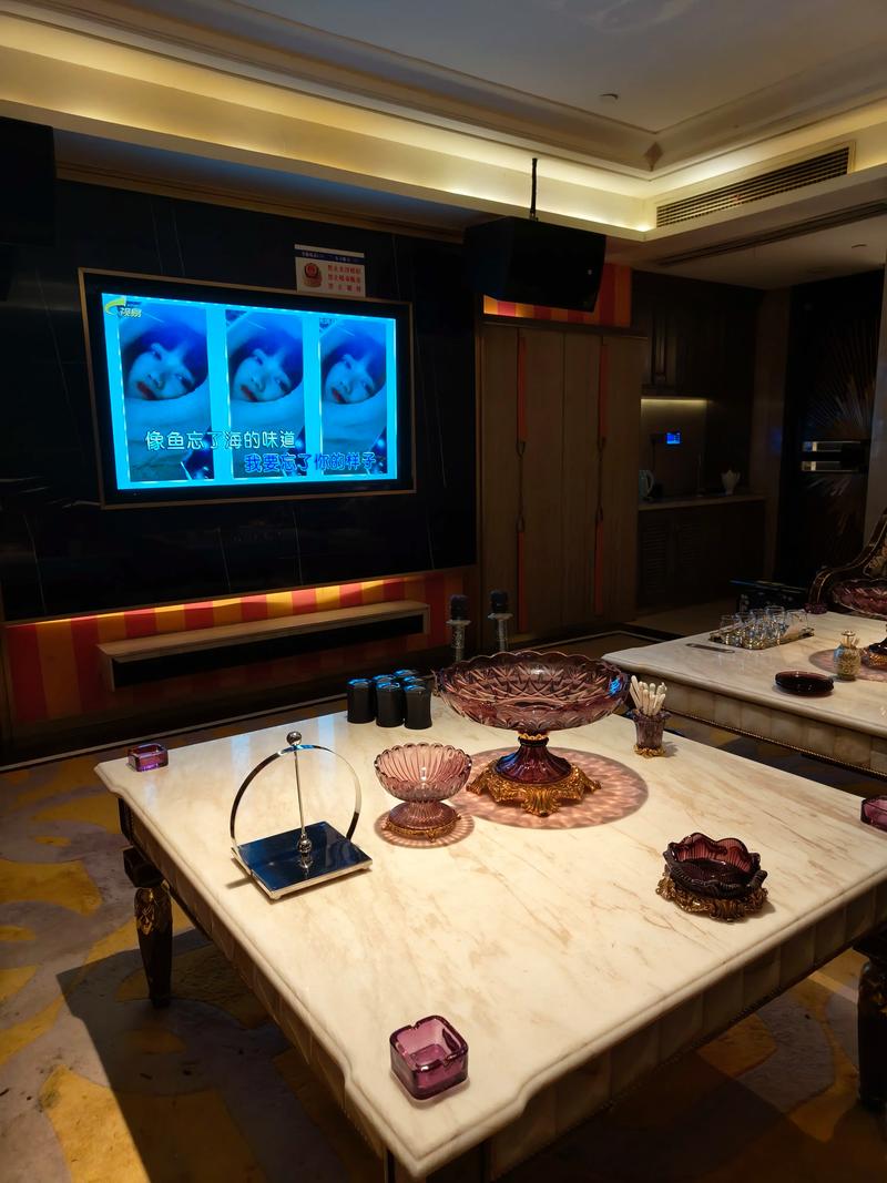 丹东商务ktv首选高端商务ktv体验-元宝区ktv预定